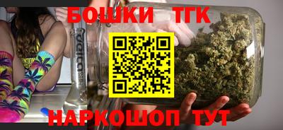 МДПВ Будённовск