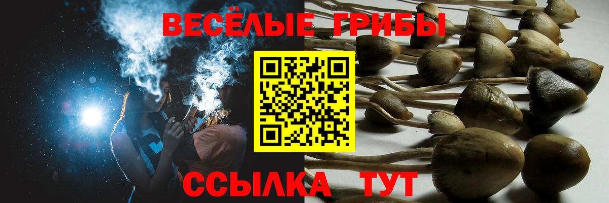 Галлюциногенные грибы MAGIC MUSHROOMS  Вход с VPN  Кувандык  Галлюциногенные грибы Psilocybe 